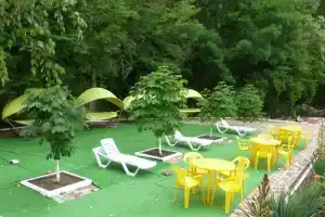 Кипарис