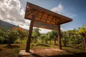 Anda Lanta Resort, Остров Ланта