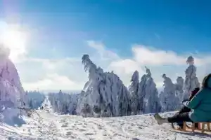 Fewos4seasons, Обервизенталь