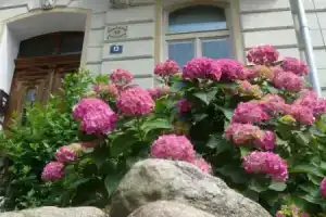 Hortensia Teplice, Теплице