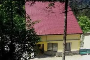 Гостевой дом «Боржоми Форест», Боржоми