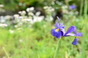 YUHUROTEN TOKI NO MANIMANI - Vacation STAY 87025, Юфу