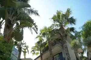 Hotel «Borgo Verde», Катания