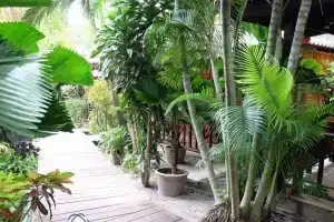 Tonsak Resort, Остров Самет