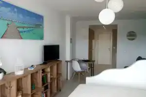 Estudio Ally, Торревьеха