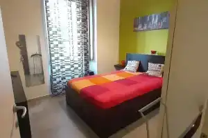 Casa baja, Баколи
