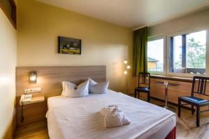 Panorama Hotel Oberwiesenthal, Обервизенталь