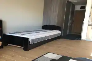 Apartman 217, Копаоник
