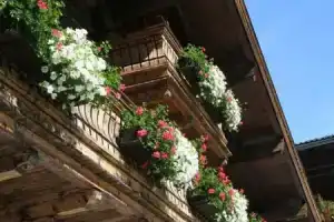 Hotel «Thurnerhof», Заальбах