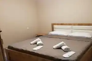 Apartment SA_NI, Боржоми