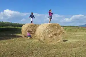 Ферма «Bicoca - Casaletti», Витербо