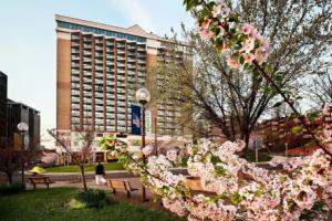 Hilton Arlington Rosslyn The Key, Вашингтон