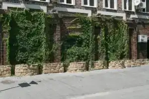 Гостиница «Raspberry Paradise», Ростов-на-Дону