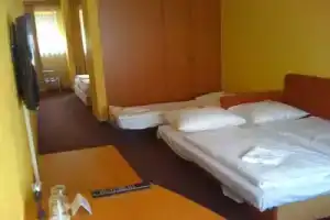 Hotel Hamburg, Фюрт