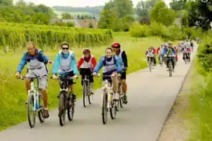 Hotel «Sonnekalb», Наумбург