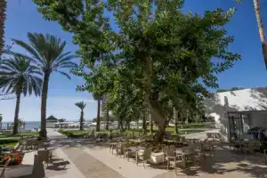Hotel «Bel Azur Thalasso & Bungalows», Хаммамет