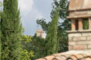 Tenuta Il Tresto - Iris, Поджибонси