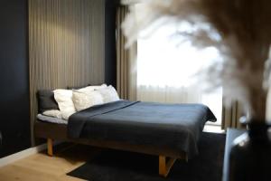 Apartamentai S.Nėries 14 Alanga, Паланга