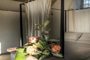 Il Baluardo bed and breakfast, Челле-Лигуре