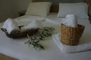 Hotel «Ionian», Дерми