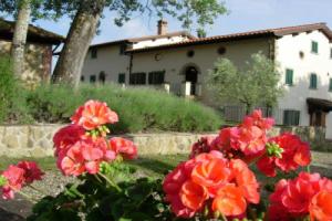 Отель «Fattoria di Belvedere», Поппи