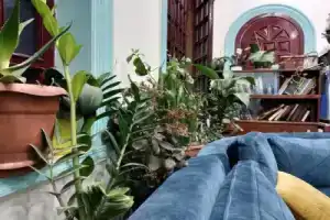 Flora Hostel, Баку