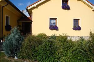 Apartmán Augsten, Чески Крумлов