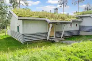 Kulta-käkönen 303 by bomba, Нурмес