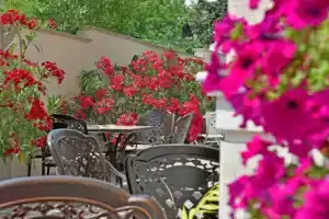 Sirena Palace Family Hotel, Обзор