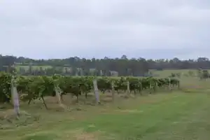 Pokolbin Farm Stay, Поколбин
