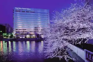 Day Nice Hotel Tokyo, Токио