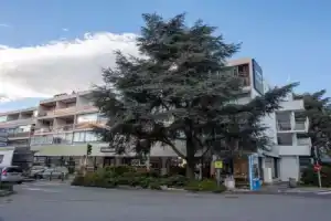 Holidays 80, Сен-Лоран-дю-Вар