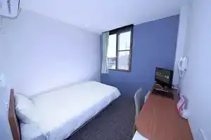 Business Hotel New Daiei, Асикага