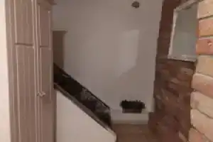 White Apartment, Эльблонг