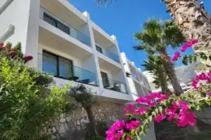 Hotel «Summer Dream», Дерми