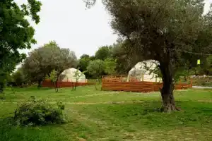 Teos Glamping S??ac?k, Сигаджик