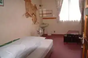 Гостевой дом «Pension Tannenhof», Нодзаваонсен