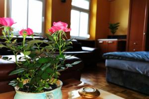 Lehel Apartman, Кестхей