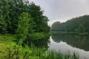 Stacja Nowa Gdynia Bed & Breakfast, Лодзь