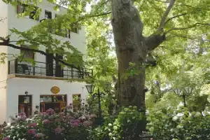 Gastronomy Hotel Kritsa, Портария