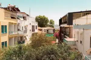 Kaktus Apart, Каш