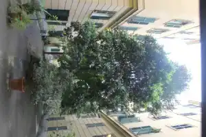 Rovati Guesthouse, Рим