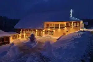 Landhotel Thälerhäusle Ochsen, Фуртванген