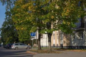 Sunny Apartment, Друскининкай