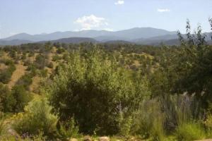 Artist Road #31, 2 Bedrooms, Sleeps 4, Wood Fireplace, WiFi, Pool Access, Санта-Фе