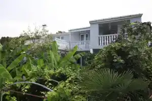 Hitas house, Чакви