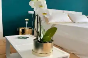 Goldsea Camera Doppia Vista Mare, Искья