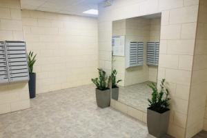 Новые апартаменты в центре Киева