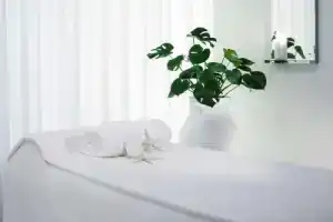 Отель «Delano South Beach», Майами Бич
