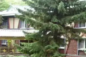 Парк-отель «Городок», Самара